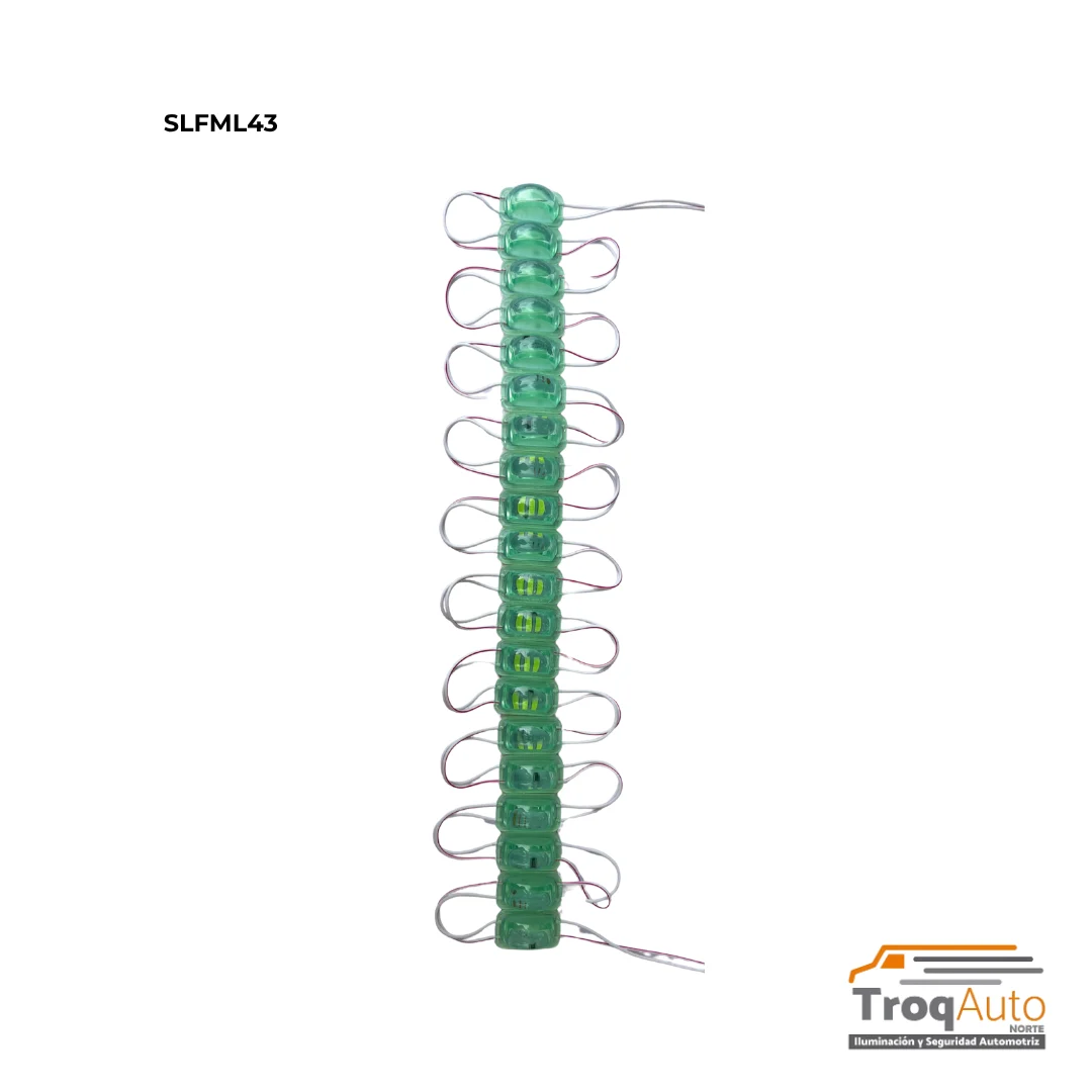 MODULO 20 TIRAS DE 3 LEDS C/U CON LUPA SALTADA